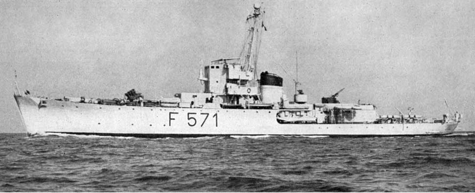 F571.jpg