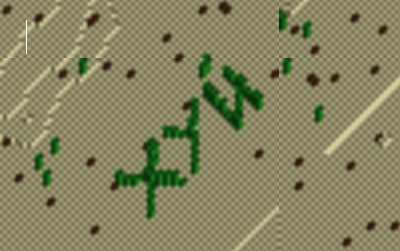 11.png