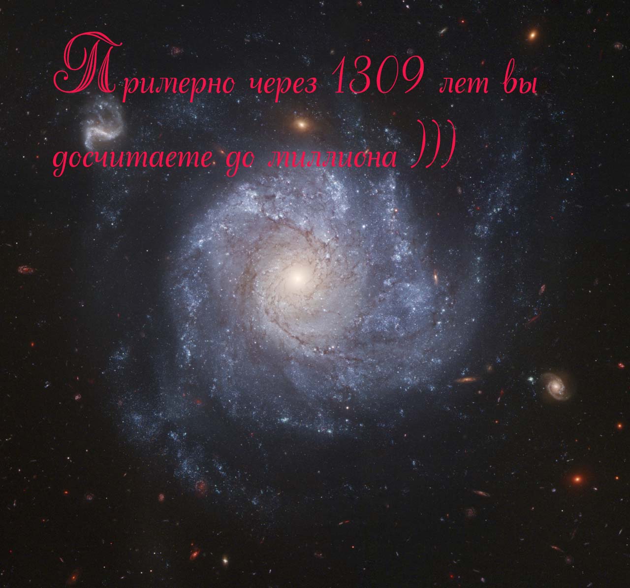 xlarge_web.jpg